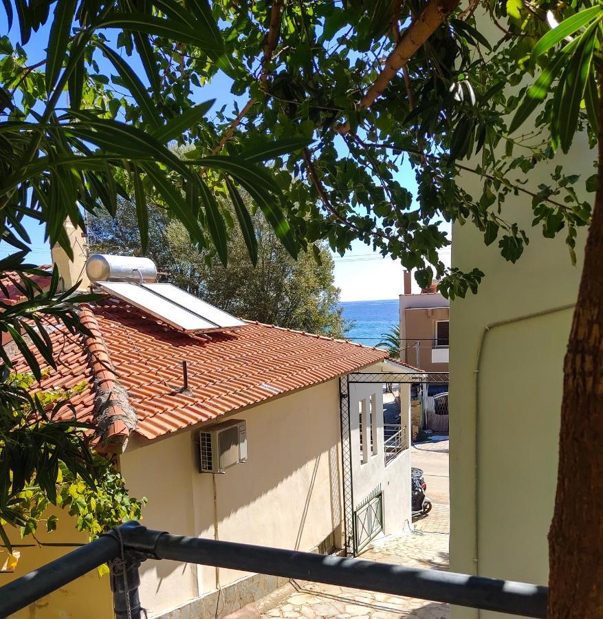 Ellinas Hotel Chrisi Ammoudia Esterno foto